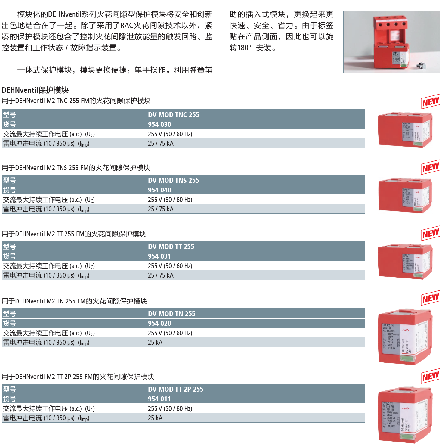 DV MOD TT 255 DEHN复合型电涌保护器模块：高效雷电防护解决方案